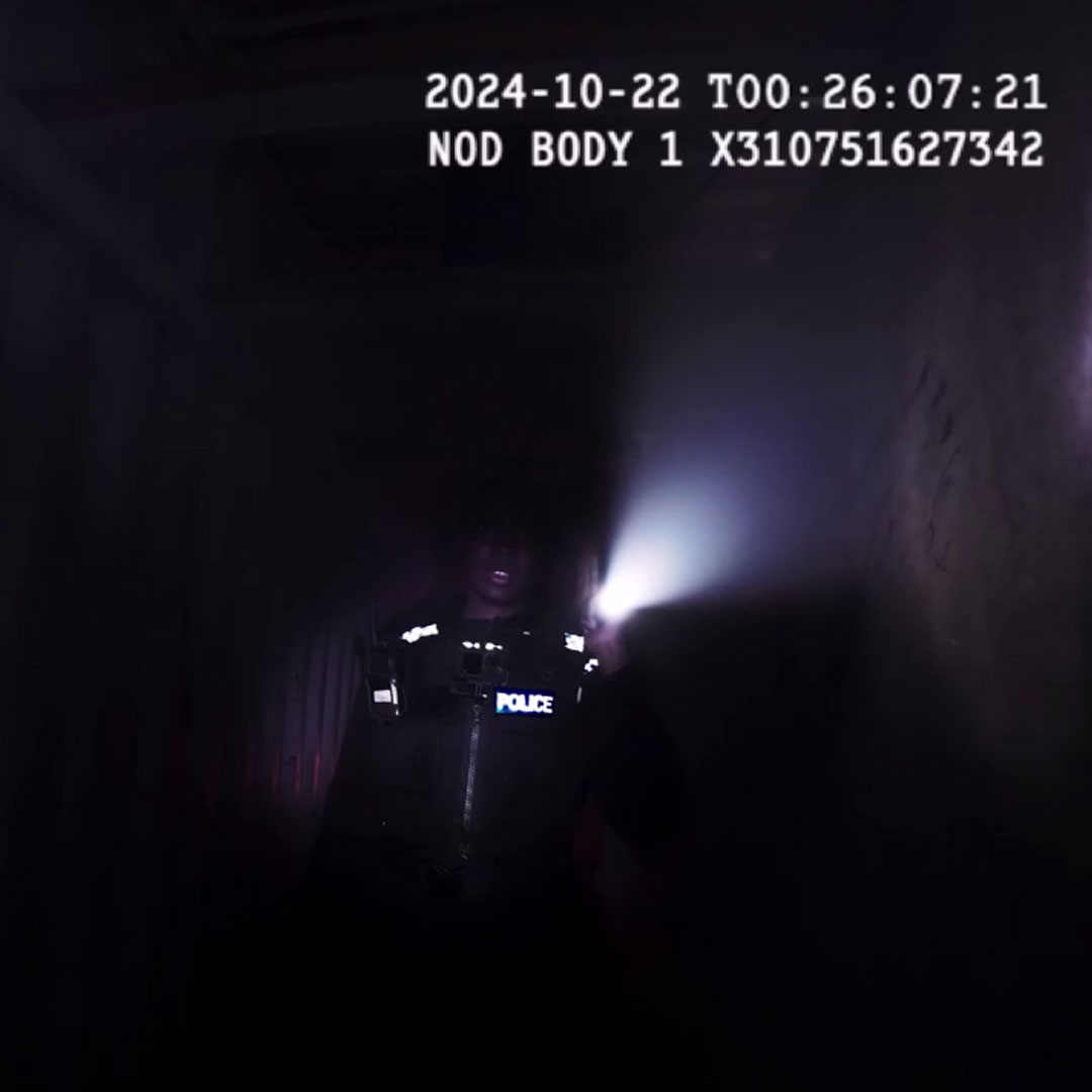 Stag: Screenshot 1